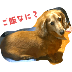 wakana_20250803231048