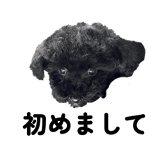 mitsuki_20250803231709