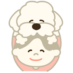 Maron the fluffy dog