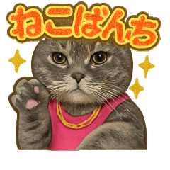 gal cat Sticker