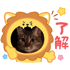 asahi_20250804145709