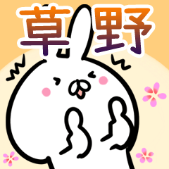 Kusano usagi namae Sticker
