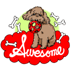 甘えん坊のテディ in Canada