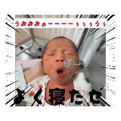 YUTO_20250805003901