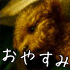 Choco the toy Poodle-with Text