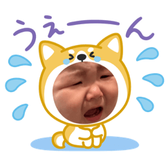 reeno_20250804130753