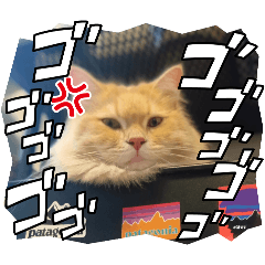 omochi_20250804100041