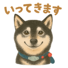 Everyones Beloved Pets