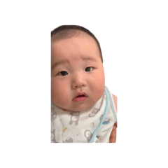 kytt_20250804123649