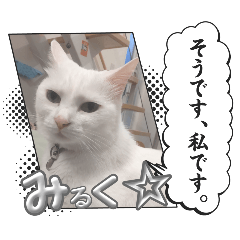 wakana_20250804161026