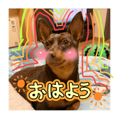 ayumi_20250804131422