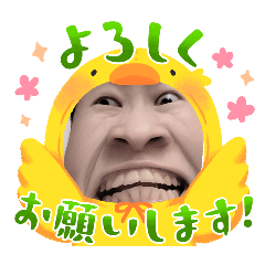 sakura_20250804163120