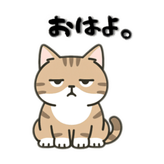 nanana_20250804131142