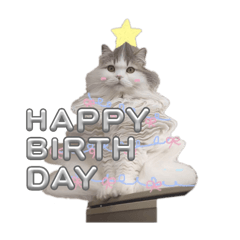 sakura_20250804181648