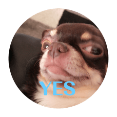 k@orin_20250804224627