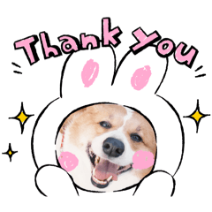 丁丁醬的喜怒哀樂大全