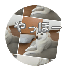 mon_20250804185345