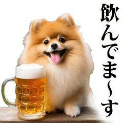 酒☆ポメラニアン