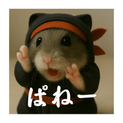 yamashikanai_20250804125728