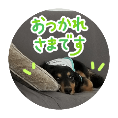 tomomi_20250805043235