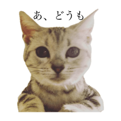 Sumire_20250804210135