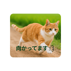 sanae_20250804221732