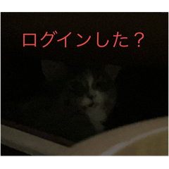 butter corn_20250804205936