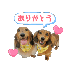 KAICHON_20250805120948