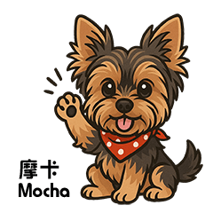 Mocha the Tsundere Yorkie