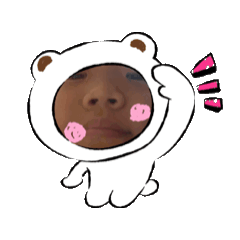 可愛小旺財,製作貼圖