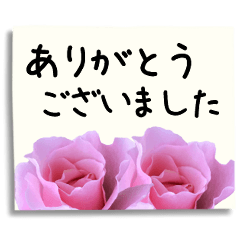 Rose flowers and message(Business)