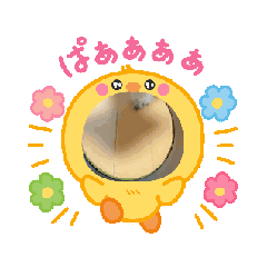 yoshi_20250804143632