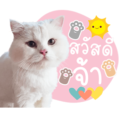 Caviar and Frenchfries