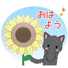 飛び出す！ちび黒モフにゃん11【夏】