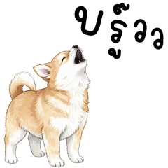 โคจิ หมาน้อยแสนซน