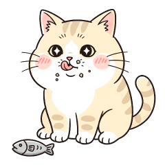 Nom Nom Cat  Daily Moods & Yummy Life