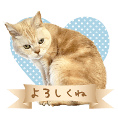 Sakura's Sticker@ringonohoppe