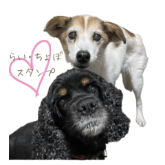 rai&chobo