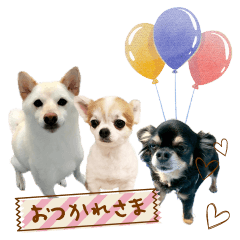 Riki,Karin&Berry's Sticker