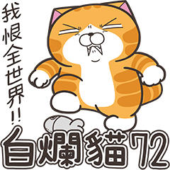 白爛貓72☆超厭世☆