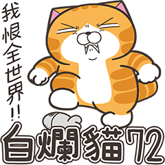 白爛貓72☆超厭世☆