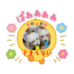 yukko_20250805170409