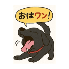 HACHI_20250804171413
