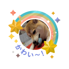 makoto_20250805102413
