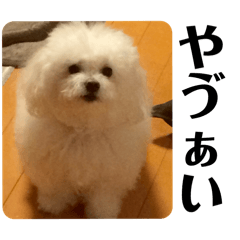 omochi_20250805205607