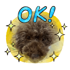 Satoshi_20250804173607