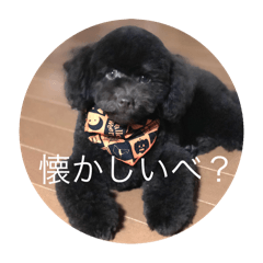 Satoshi_20250804232321