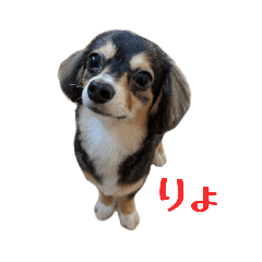 RIHO_20250805184803