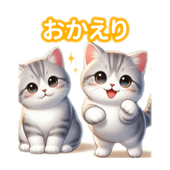 So cute American Bobtail