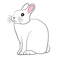 兔子/日常用語/節慶祝福